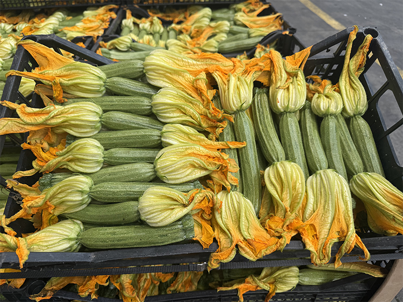 Zucchine Chiare con fiore locali 2,00 € al chilo